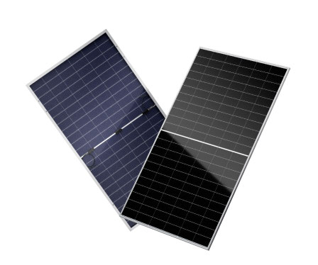 Bifaziales Solarpanel
