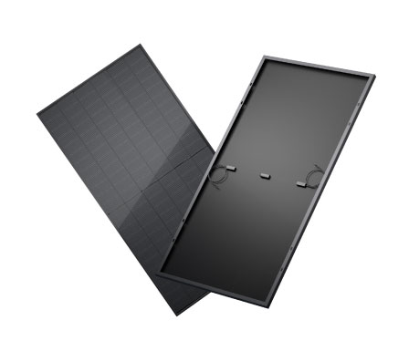 Bifaziales Solarpanel