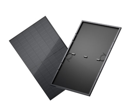 Bifaziales Solarpanel