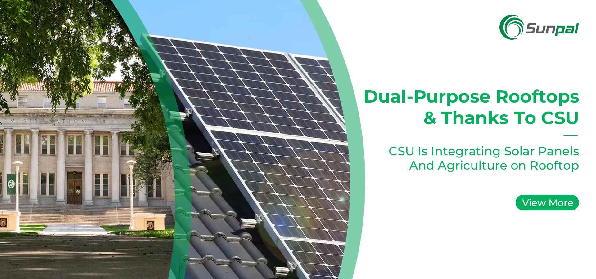 Dächer mit doppeltem Verwendungszweck: Kombination von Solarenergie und Landwirtschaft