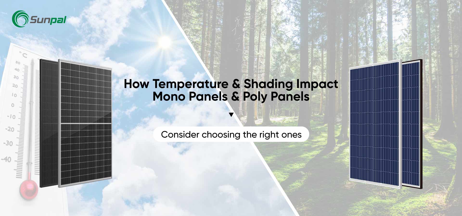 Temperatur und Verschattung: Auswirkungen auf Mono- und Poly-Panels