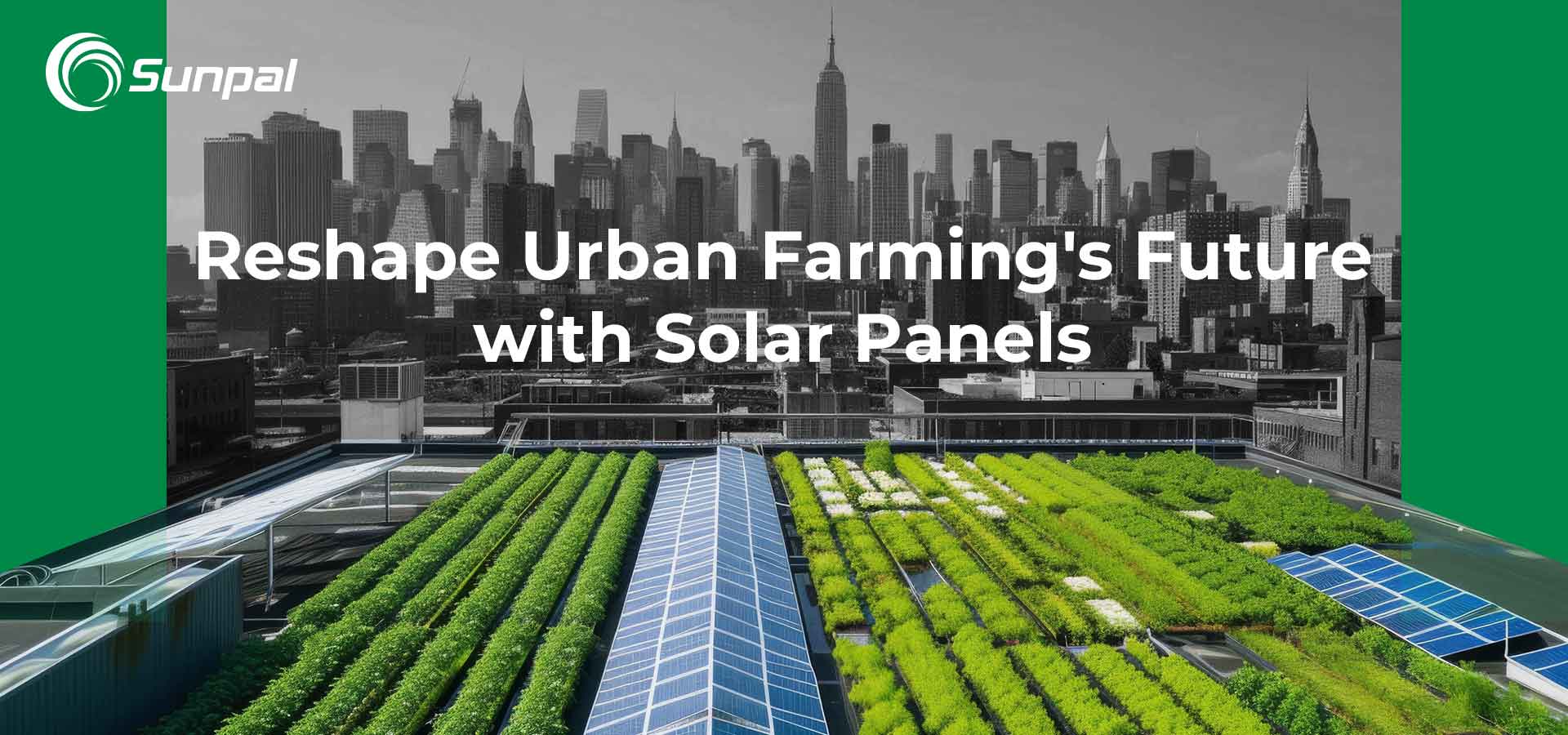 Solardächer: Die Zukunft der städtischen Landwirtschaft neu gestalten